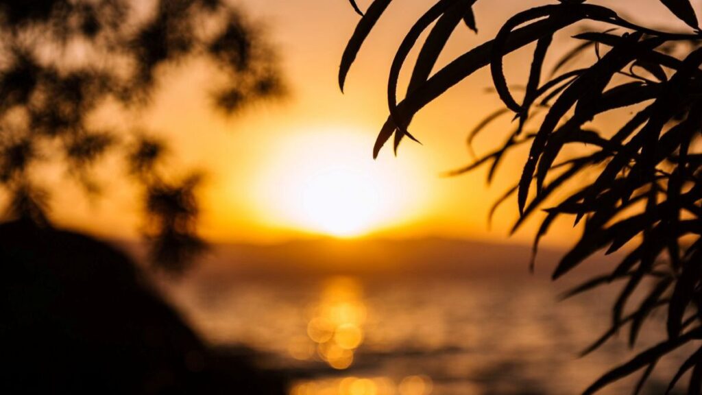 Why Sleep Disruption Is More Than Insomnia: What Your Body Is Really Telling You