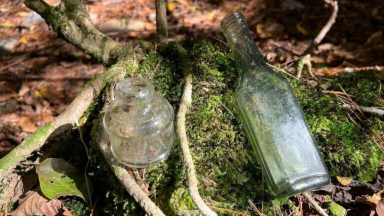 Plastic vs. Glass — Reusable Glass Bottles