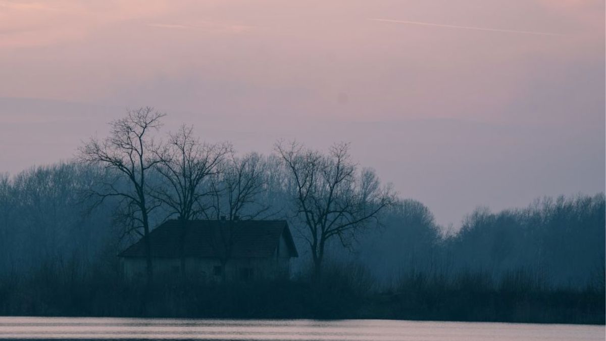 Soft dusk over a lakeside cabin and bare trees... a quiet horizon that invites observing instead of overthinking.