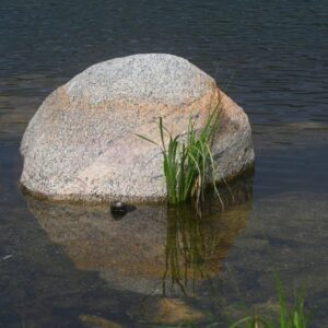 A still stone in shallow water with gentle ripples... a simple cue to observe what&rsquo;s here, then choose the next step.
