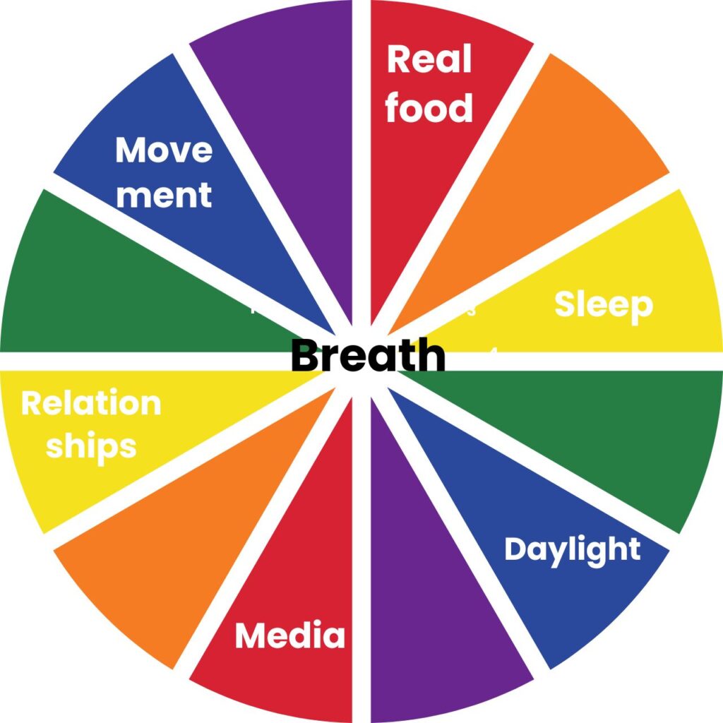Color wheel infographic with seven inputs: Real food, Sleep, Daylight, Media, Relationships, Movement with “Breath” at the center.