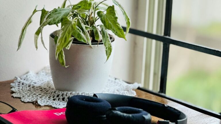 Headphones resting on a closed red journal beside a small plant on a sunlit windowsill—calm setup for a short sound routine.
