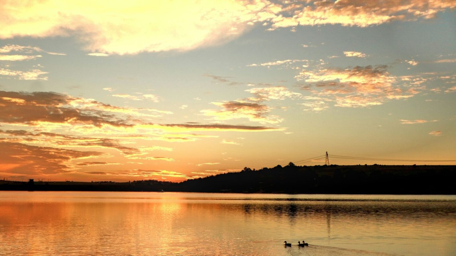 Golden hour light over a calm lake with soft clouds and reflections.