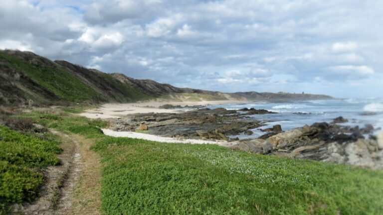 Coastal path beside the ocean under a cloudy sky