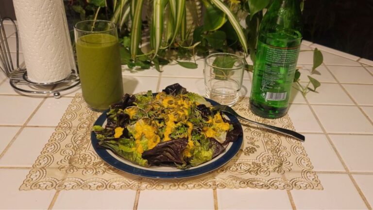 Raw ketovore meal with mixed greens, microgreens, dressing and green smoothie on a plate