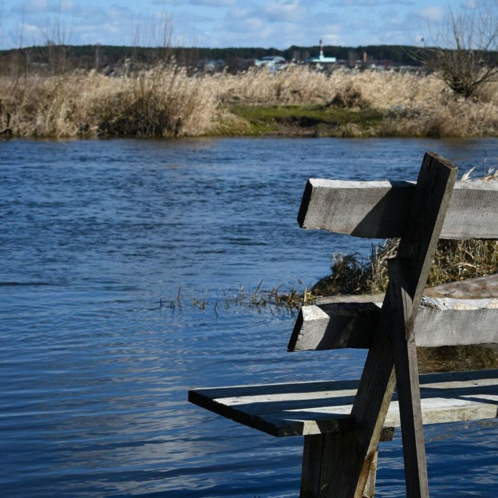 Quiet bench overlooking water, symbolizing stillness, reflection, and inner wisdom.