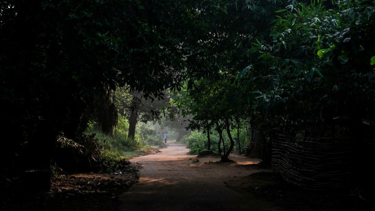 A quiet pathway leading through trees toward soft morning light, symbolizing forward movement, possibility, and new beginnings.