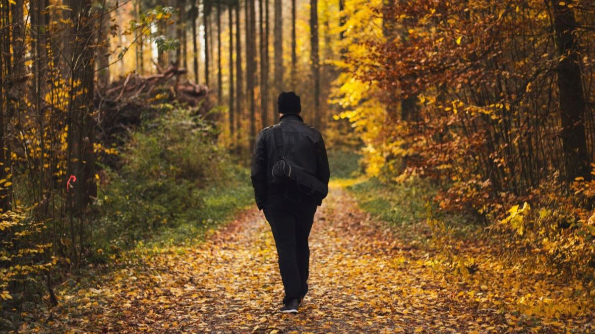 Person walking on a quiet forest trail, symbolizing pacing, body wisdom, and sustainable healing.